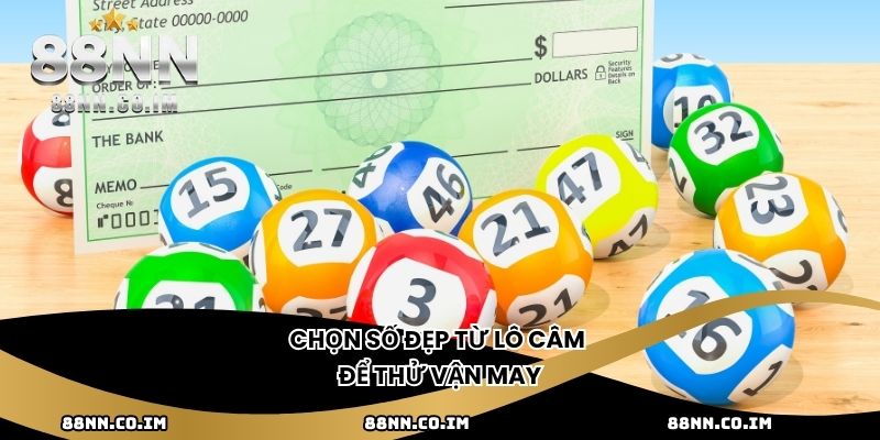 Chọn số đẹp từ lô câm để thử vận may